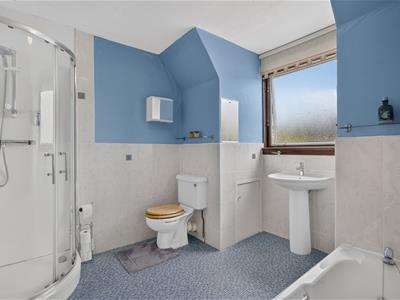 Picture 23